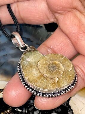 Earthy Ammonite Pendant 2”- Leadership Stone